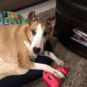 Meet your Posher, Michelle